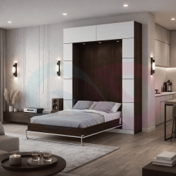 Шкаф-кровать Фора-3
