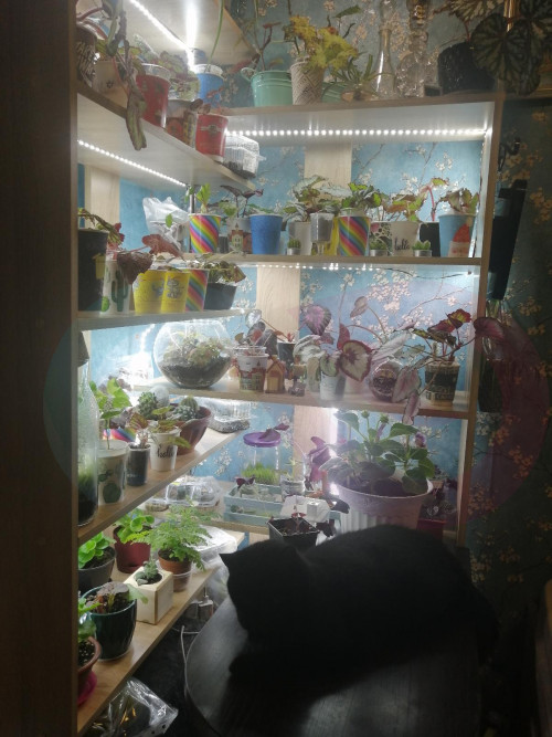 Стеллаж угловой Брукс