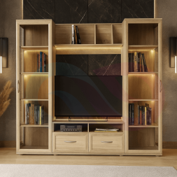 ТВ-Зона Модель №17